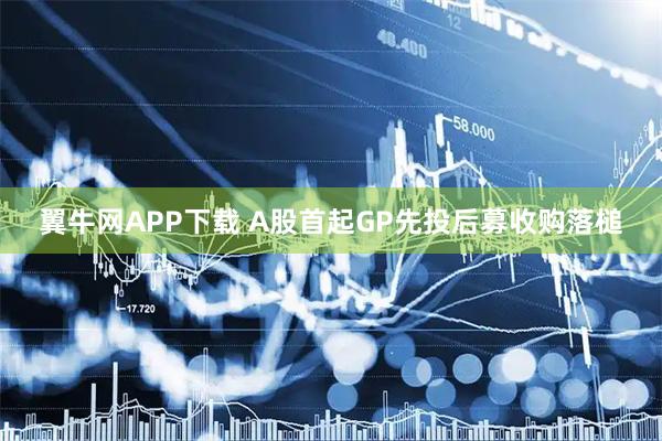 翼牛网APP下载 A股首起GP先投后募收购落槌